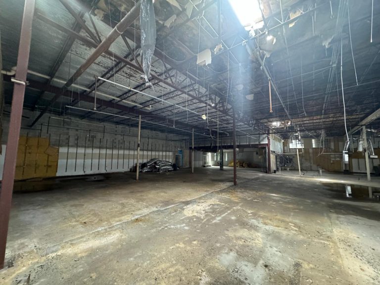 Fort Myers- Structural Design Roof